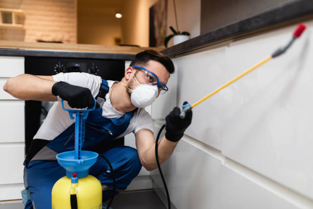 Best Pest Removal Services  in Belpre, OH