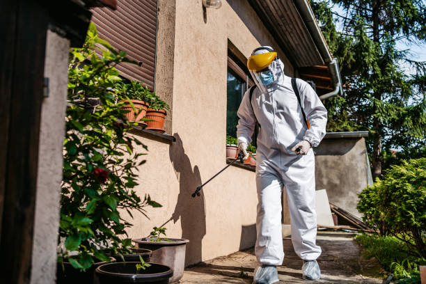 Best Affordable Pest Control Services  in Belpre, OH