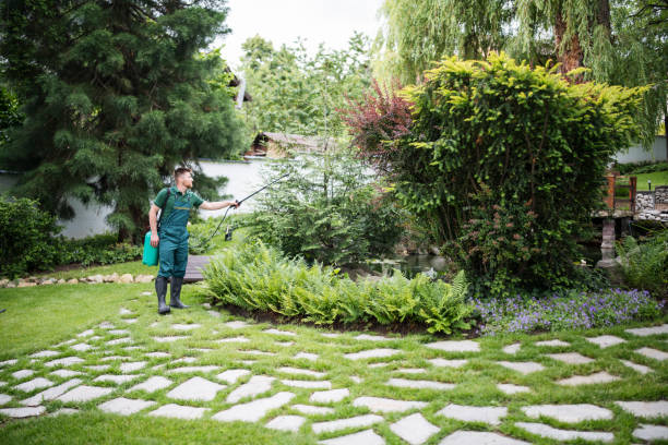 Best Best Pest Control Companies  in Belpre, OH