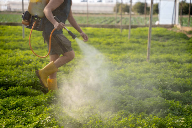 Best Pest Control Near Me in Belpre, OH