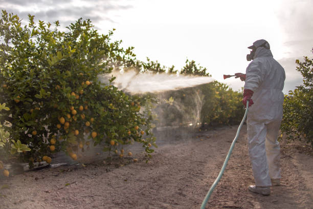 Best Pest Inspection Near Me  in Belpre, OH
