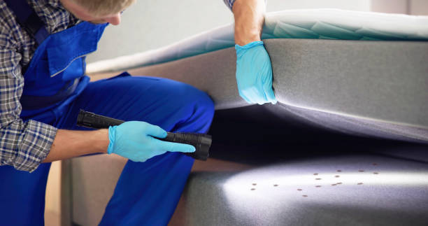 Best Pest Control Near Me  in Belpre, OH