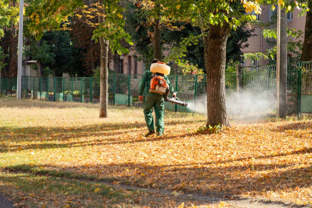 Belpre, OH Pest Control Company