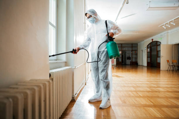 Best Mosquito Control Services  in Belpre, OH