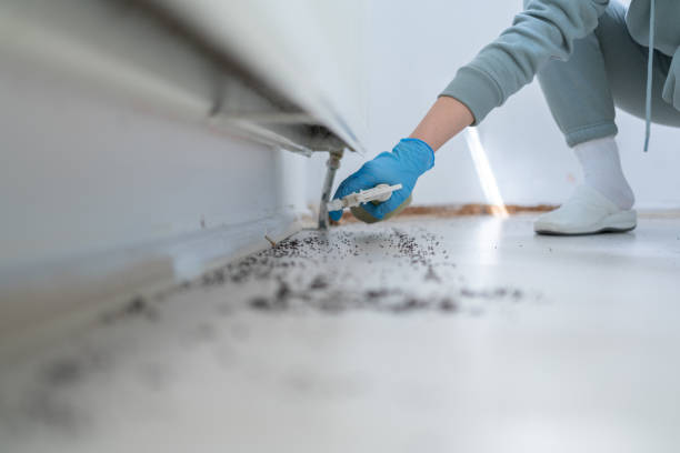 Best Affordable Exterminators  in Belpre, OH