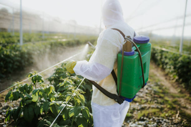 Best Best Pest Control Companies  in Belpre, OH